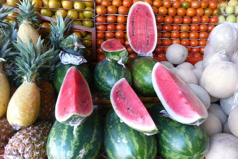 NetObjects Web Design Placeholder